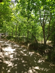 فروش زمین ۸۰۰ متری در بهترین جای دستجرد زیر قیمت