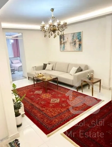 آپارتمان ۶۸ متری غرق نور