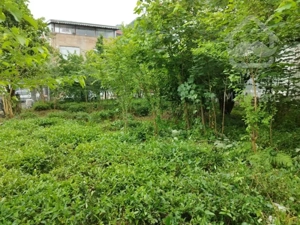 فروش زمین خوش نقشه لاهیجان