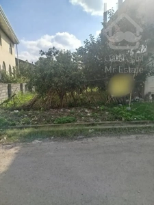 فروش فوری زمین تجاری–مسکونی در قائمشهر، روستای میدانسر