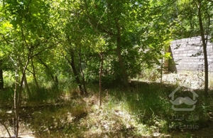 فروش زیر قیمت زمین 800متری خلجستان دستجرد