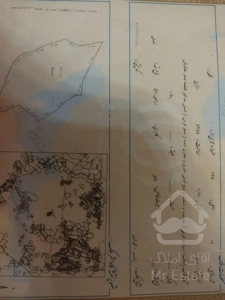زمین گوکین زراعی باغ