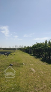 زمین مسکونی در آمل