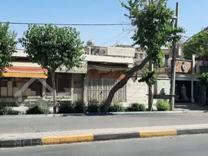 فروش ملک ویلایی، تجاری ۳۸۵متر مربع