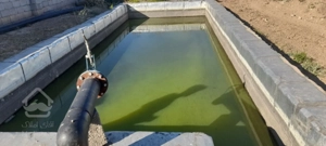 باغ مجوز دار