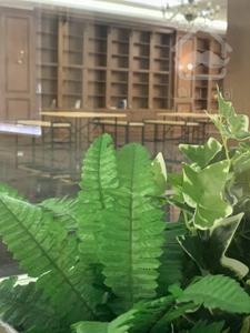 پیش فروش واحدمسکونی116متری