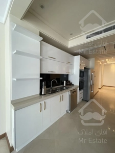 ۲۳۳مترزیرقیمت زعفرانیه