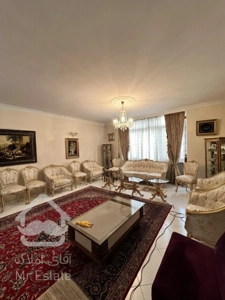 ۲۰۶متر/امیرآباد/جانبازان/تک واحدی