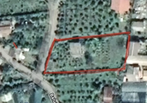 خرید زمین شمال زمین مناسب شهرک سازی و ویلا باغ ۲۱۰۰ متر داخل بافت عباس آباد