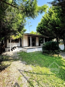 ویلا باغ جنگلی /مخصوص افرادی کن علاقه به حیاط و درختکاری دارند