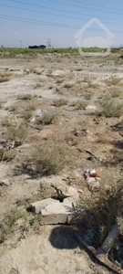 زمین فروشی ۱۲۶۰ متر