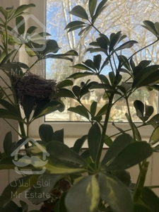 فروش آپارتمان دوخوابه فرهنگ شهر تکمیل