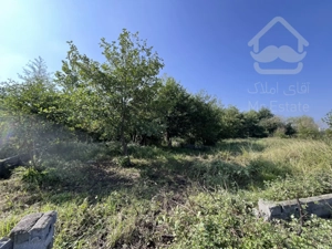 فروش زمین ۳۰۰ متر در کیاکلا (نمک آبرود)