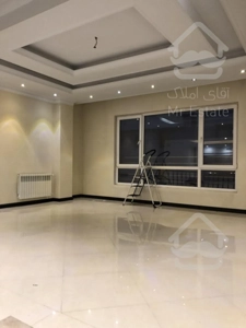 شخصی ساز تک واحدی شاه نشین