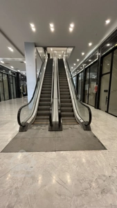 محیطی پویا برای کسب وکار، فضایی دلنشین برای تفریح