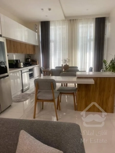 اجاره آپارتمان ۶۰ متری ۱ خوابه با پارکینگ و انباری سندی در جنت آباد جنوبی