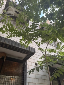 کلنگی قابل مشارکت ، تهاتر یا فروش