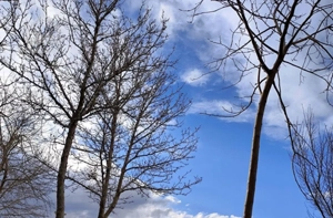 ۲۱۰متری ویو مادی سه خواب