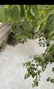 ۱۶۲متر سه خواب تک واحدی فول امکانات تهرانشرق