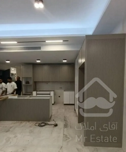 گیشا/۲خواب وسیع/خوش نقشه