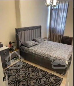 ۷۵متر دو فول سازمان شمالی