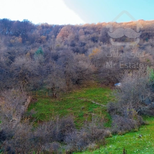 این زمین وسط جنگلای رودبارکه