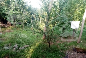 خونه حیاط دار و جای امن در شهر