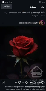 ۸۰متر در بهترین لوکیشن خلیج فارش