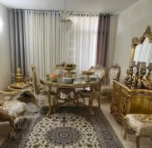 ۶۰ متر/ غرق نور / پارکینگ دار / الماس خجسته پور