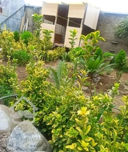 سوییت ساحلی چمخاله