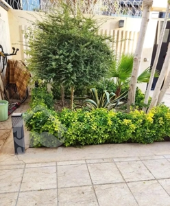 آپارتمان تک واحدی۱۴۶متر/معاوضه/ خانه اصفهان