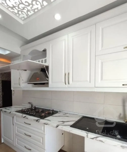 دریاچه چیتگر/ ارگانی/ نیروهای مسلح /محضری