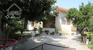 ویلایی ۷۰۰ متری جنگلی در مهدشت