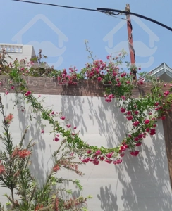 اجاره روزانه ویلا نو ساز وخوشکل ساحلی