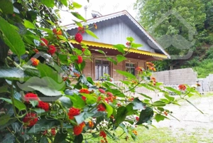 ویلا دربست قلعه رودخان فوشه