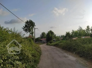 زمین کاربری باغی