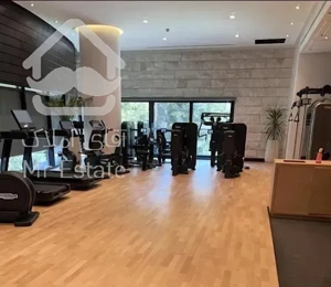 تلفیق هنر و تکنولوژی ۱۵۵ متر نوساز میرداماد