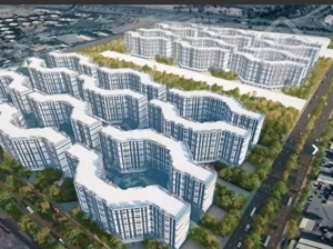 خریدمستقیم از حاج رحیم قربانی رونیکا پالاس تهرانسر