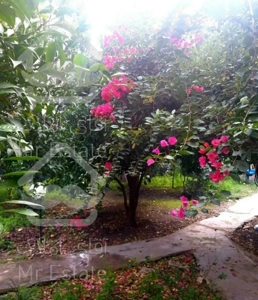 اجاره ویلا باغ دربست