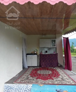 سوییت جنگلی اجاره ای در دل طبیعت