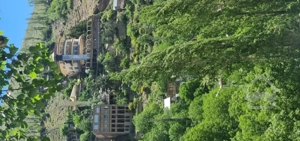 میگون قلعه باغ ۵۴۰ متر زمین با ۱۰۰ متربنای قدیمی