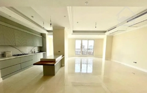 ۱۶۰ متری نورگیر عالی * ویودار  * نیاوران *