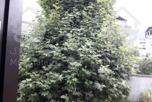 اجاره سویت دوخواب