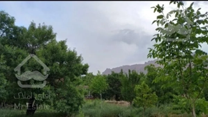 باغ زیبا لب رودخانه طزرجان