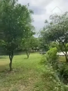 باغ ویلا درختان میوه دار طرقبه