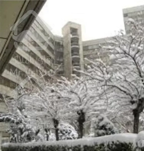 سوئیت رهن و اجاره