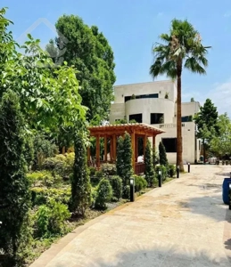 خودخودشمالهِ/۱۵۰۰متری داخل بافت/پول زمینشم نمیشه