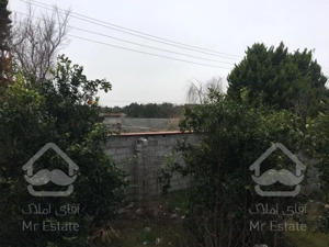 زمین فروشی درویش آباد/سرخرود