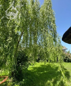 اجاره ویلا ویو جنگل