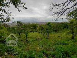 فروش زمین با چشم انداز عالی